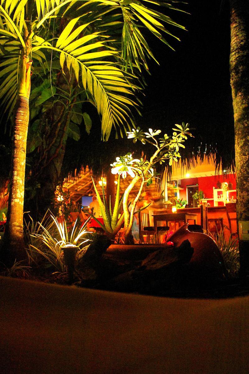 Hotel La Tortuga Las Terrenas Exteriör bild