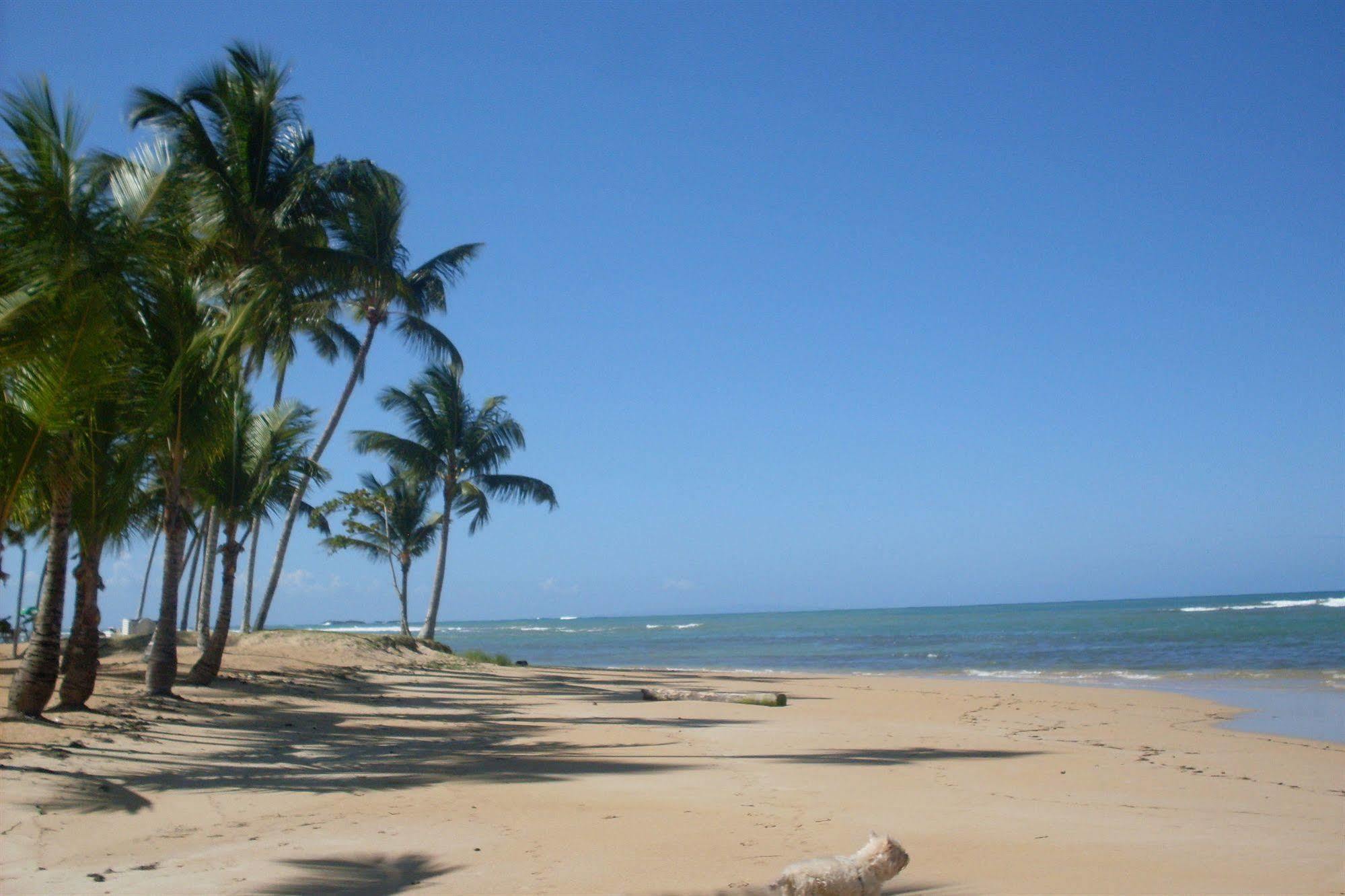 Hotel La Tortuga Las Terrenas Exteriör bild